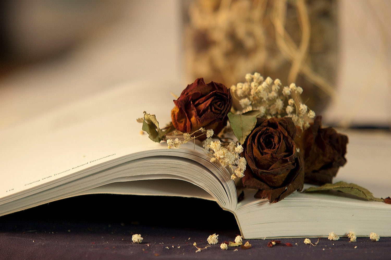 Finding the Strength to DNF a Book (Especially a Popular One) - Caffeineandcurses