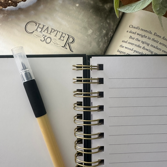 Maas Multiverse Notebook