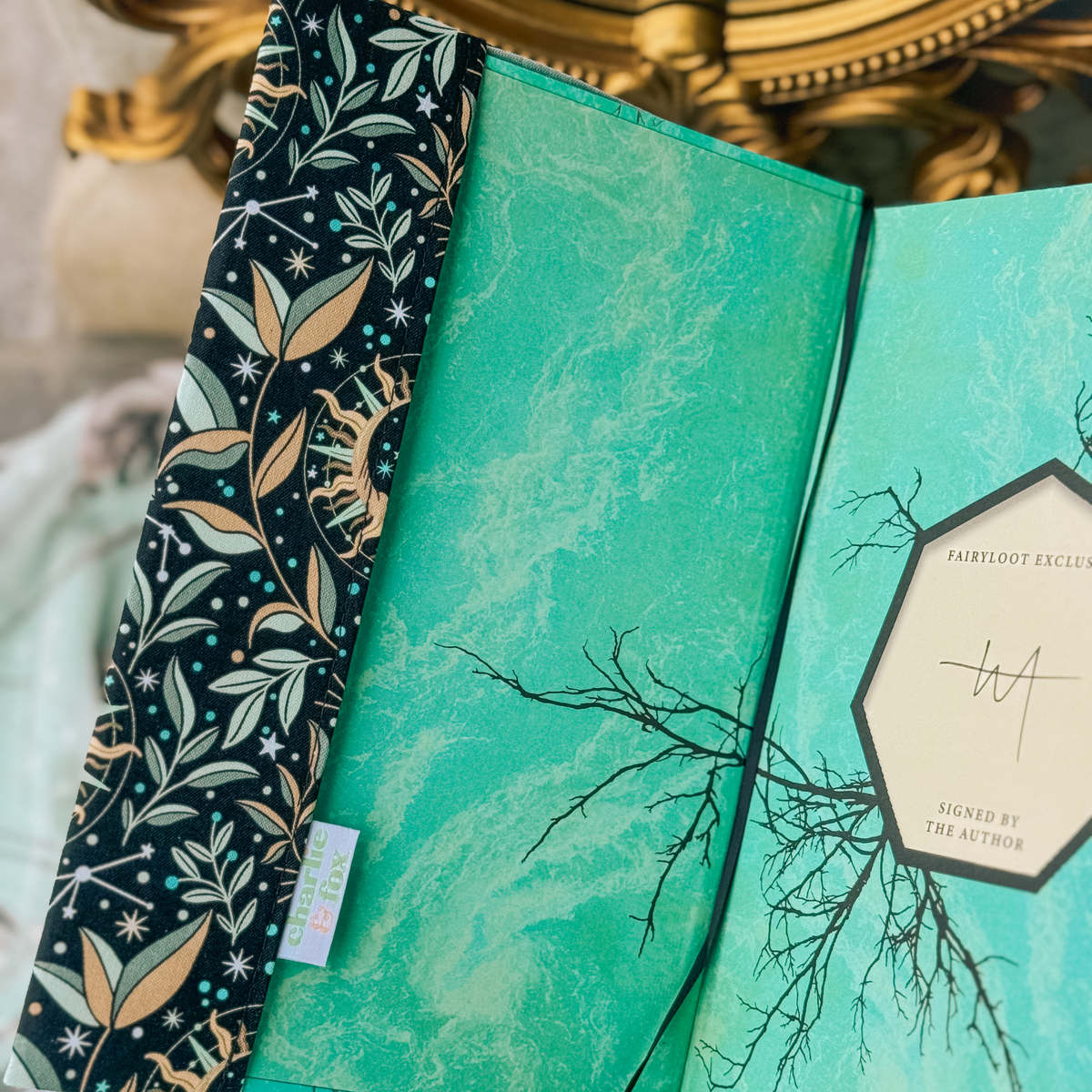 Astral Moonlight fabric dust jacket