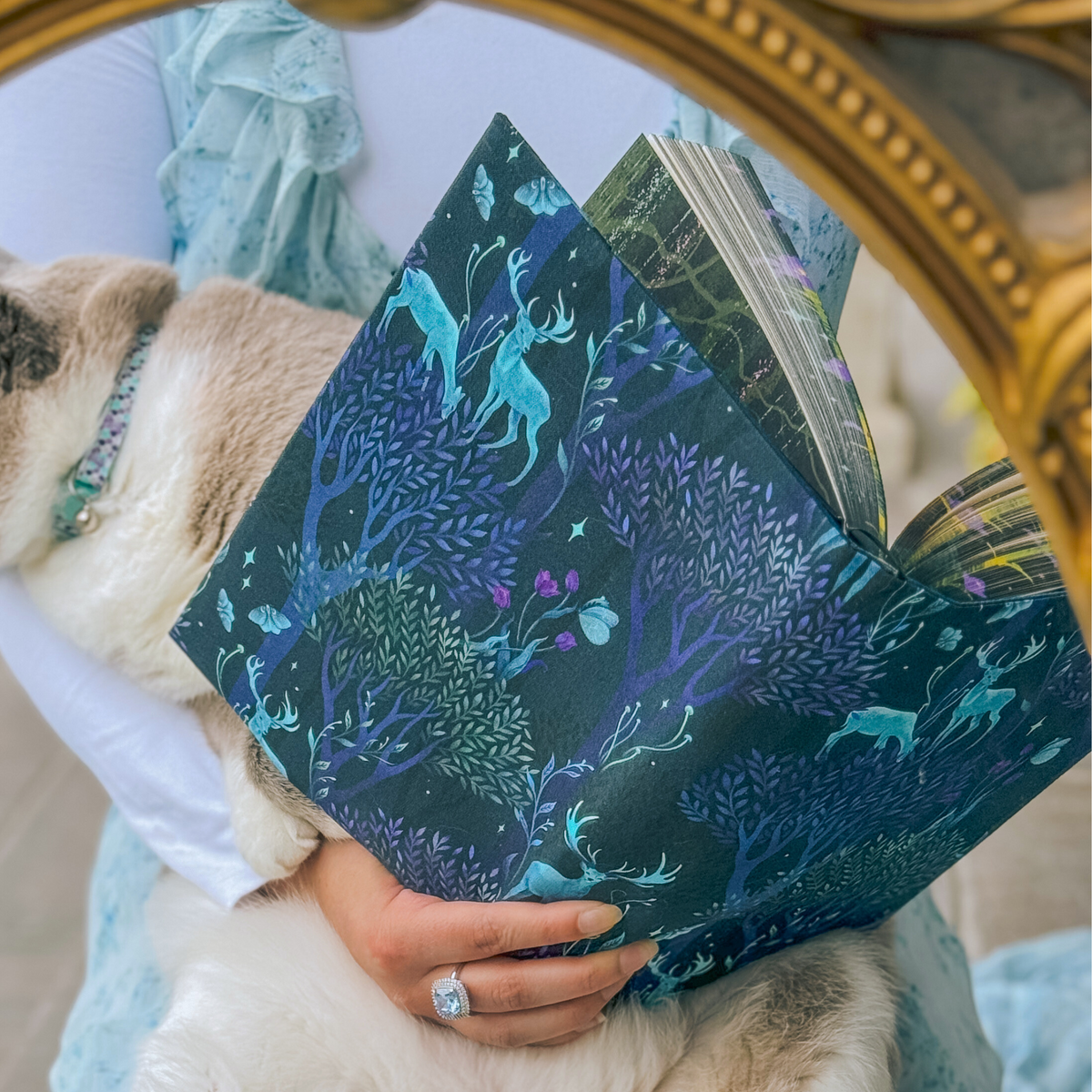 Enchanted Forest fabric dust jacket