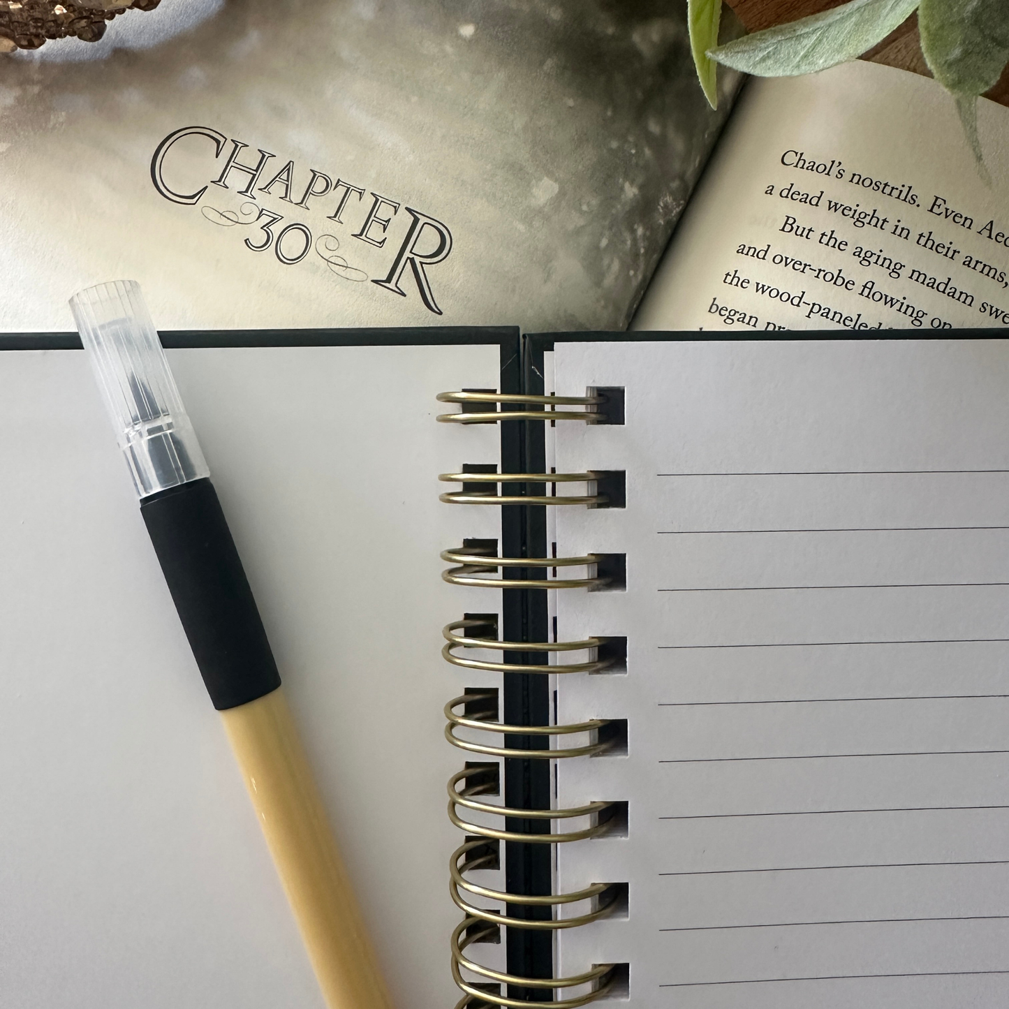 Maas Multiverse Notebook