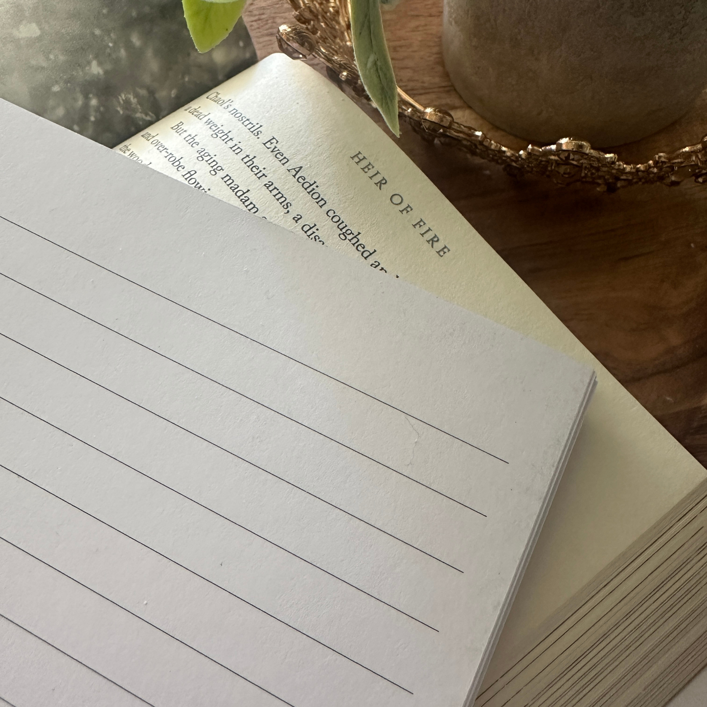 Maas Multiverse Notebook