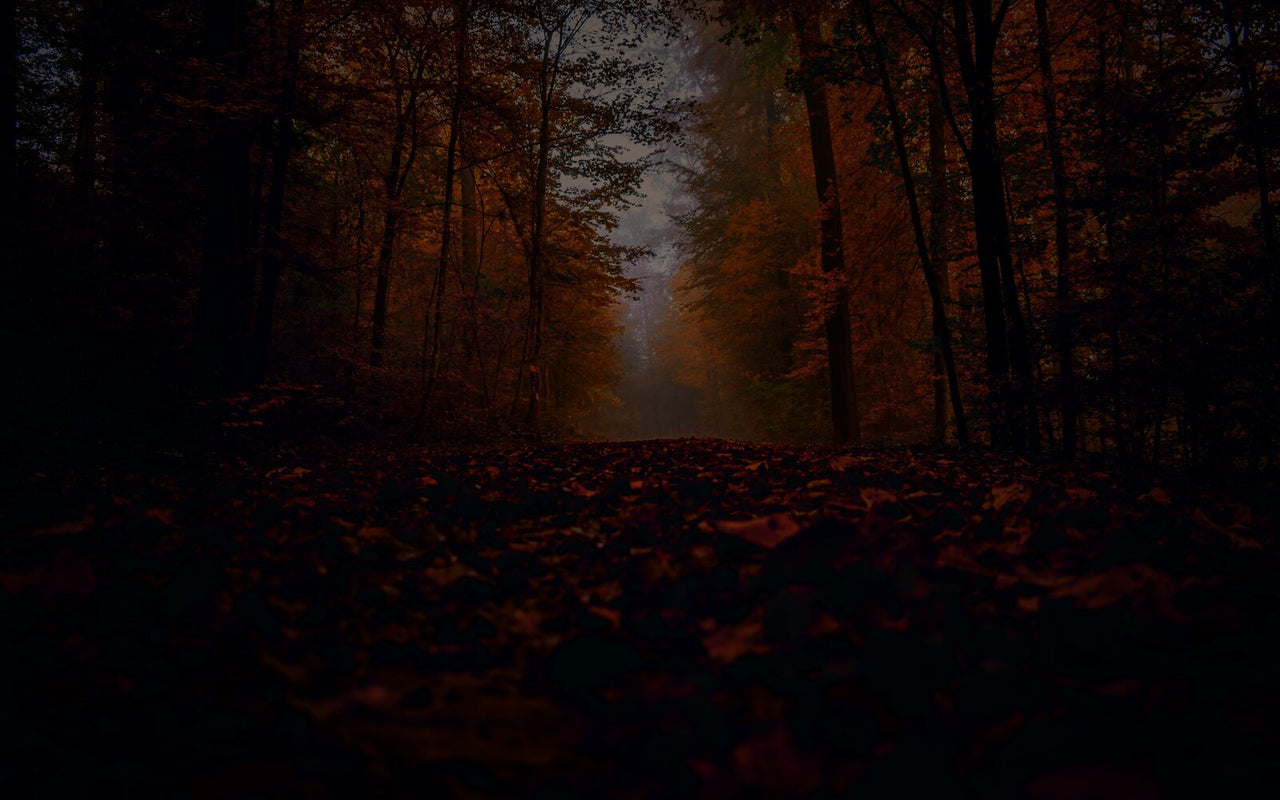 Autumn Court