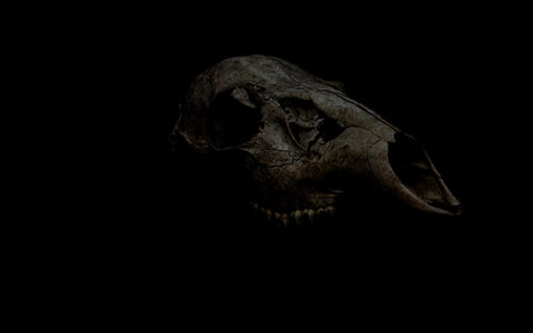 The Bone Carver
