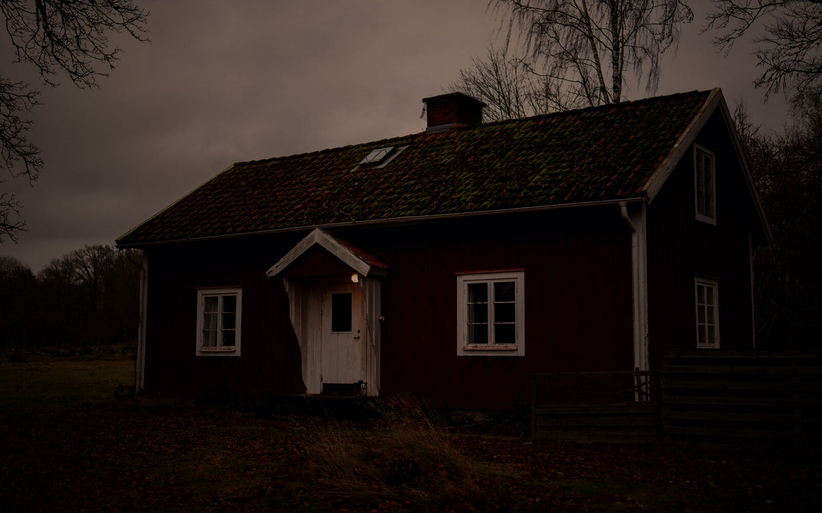 The Forest House