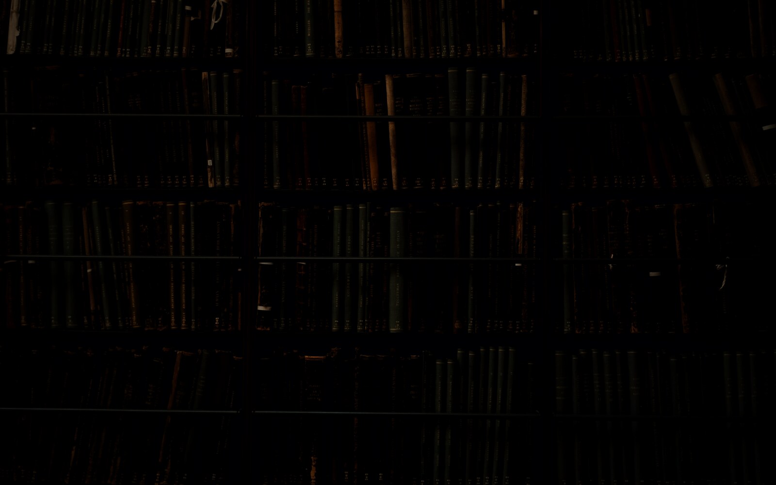 the Library