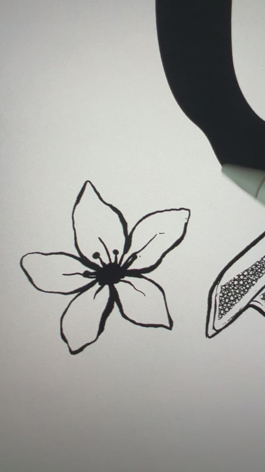 Behind the scenes: the five-petal line-art flower from the Juniper design being inked by hand, stamens drawn in, the Crescent City Ballet Company artwork taking shape [focal 50 55]