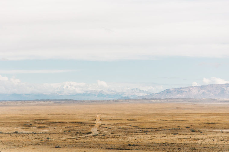 The Western Wastes